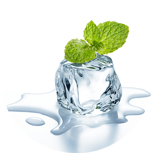 ice-makers-eastern-cape ice-makers-eastern-cape